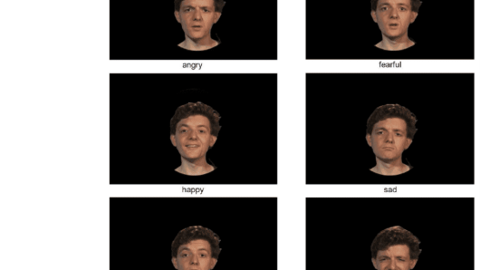 Screenshots of several speakers, described with an emotion