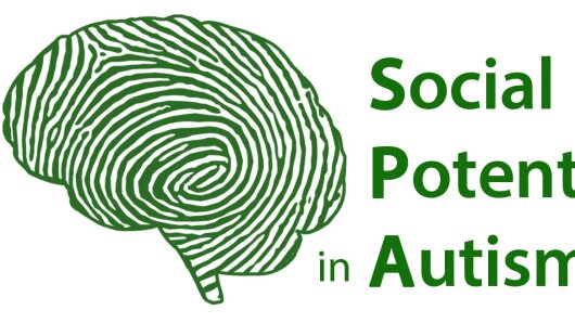 Logo of the Unit. Outline of a brain and script