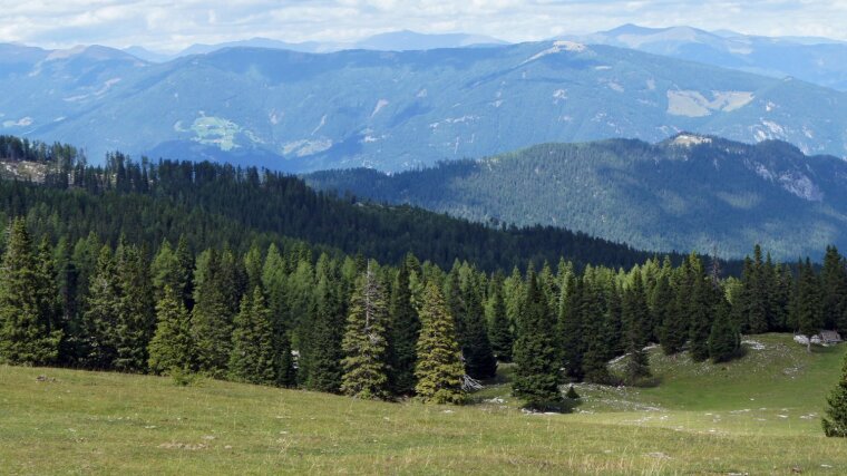 Natur