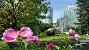 Botanischer Garten