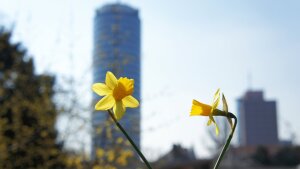 Jentower