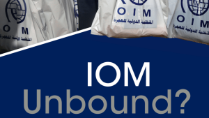 Cover of edited volume "IOM Unbound?"